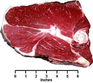 Beef - Retail Cuts - Round Steak