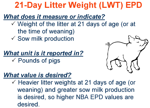 21 Day Litter Weight EPD