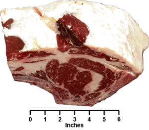 Beef - Retail Cut - Rib Roast (large end)