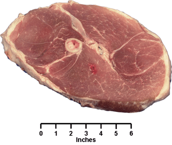 Swine - Retail Cut - fresh ham center slice
