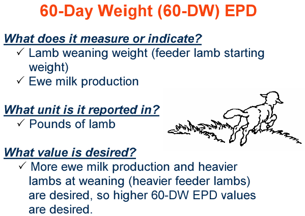 60 Day Weight EPD