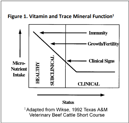 Minerals and Vitamins are Important for Healthy and Profitable Dairy Cows 2024 - Figure 1