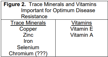 Minerals and Vitamins are Important for Healthy and Profitable Dairy Cows 2024 - Figure 2