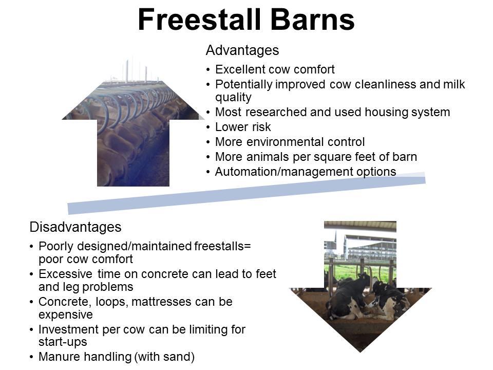 Freestyle Barns