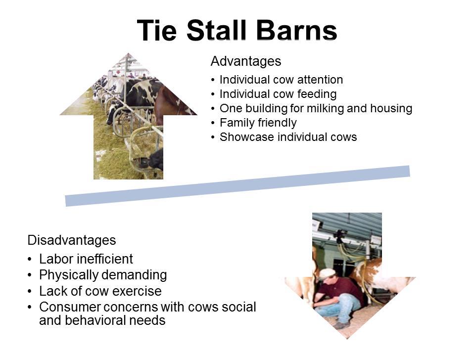 Tie Stall Barns