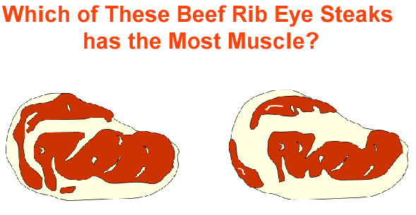 Beef Rib Eye Steaks Most Muscle
