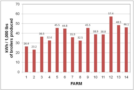 Annual level of electricity use on each of the 14 farms visited