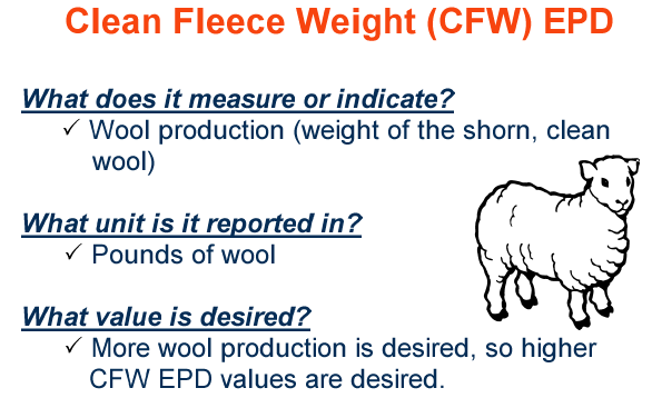 Clean Fleece Weight EPD