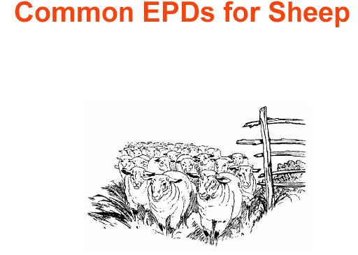 Common epds for sheep
