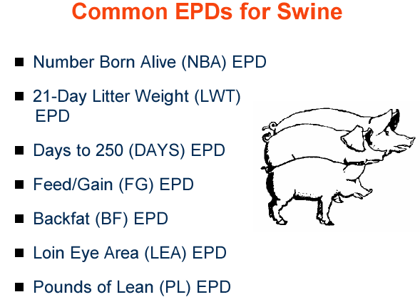 Common epds swine 1