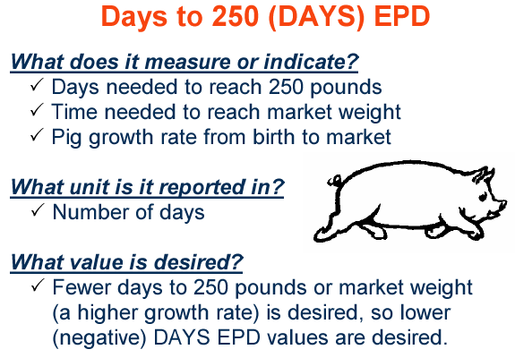Days to 250 EPD