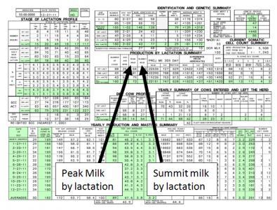 Peak Milk by Lactation