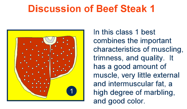 Discussion Beef Steak Placing Cuts