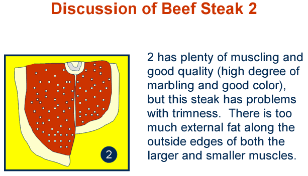 Discussion Beef Steak Placing Cuts 2