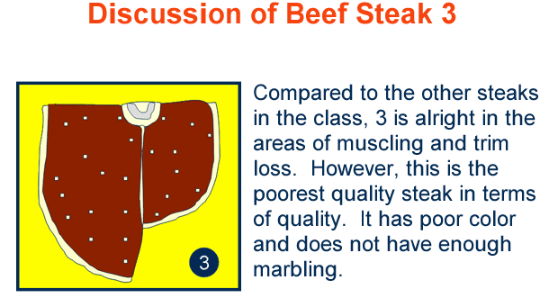 Discussion Beef Steak Placing Cuts 3