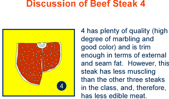 Discussion Beef Steak Placing Cuts 4