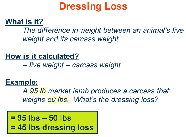 Dressing Loss