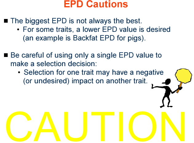 EPD Caution 2