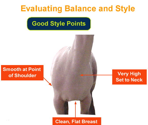 Evaluating Balance and Style Good Style Points