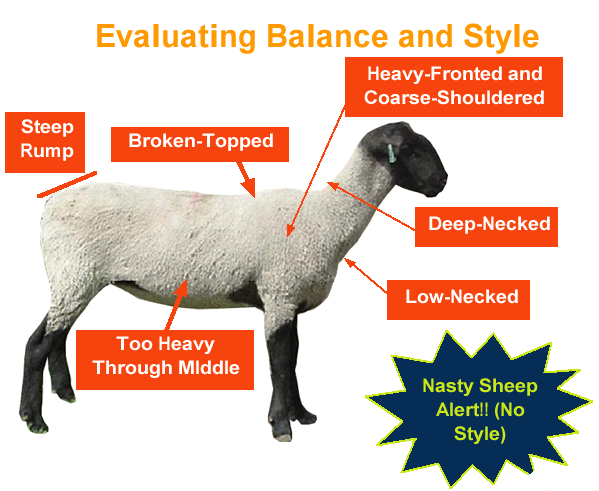 Evaluating Balance and Style - Nasty Sheep Alert