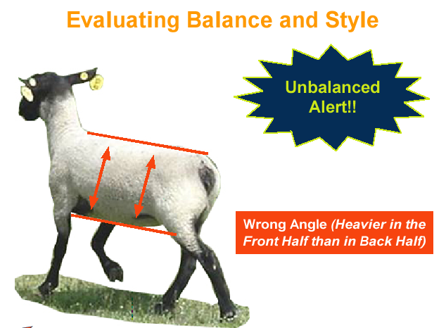 Evaluating Balance and Style - Unbalanced alert