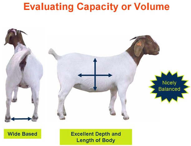 Evaluating Capacity or Volume nicely balanced