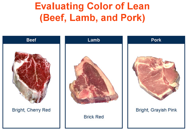 Evaluating Colors of Lean