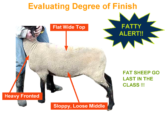 Evaluating Degree of Finish - Fatty alert