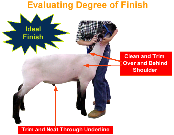 Evaluating Degree of Finish - Ideal Finish