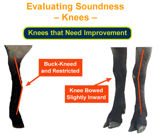 Evaluating Soundness Knees Need Improvement