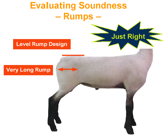 Evaluating Soundness Rumps Just Right