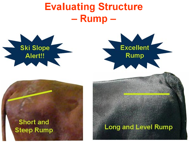 Evaluating Structure Ski Slope vs Excellent Rump