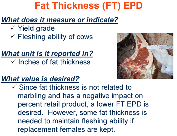 Fat Thickness EPD