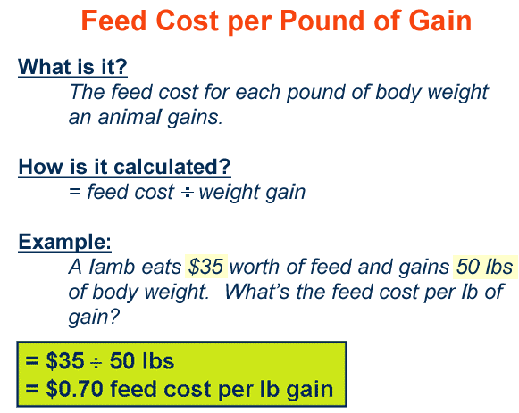 Feed Cost per Pound of Grain
