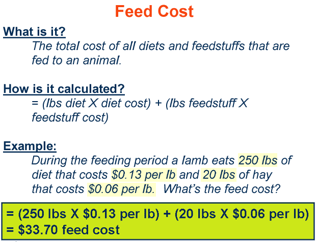 Feed Cost