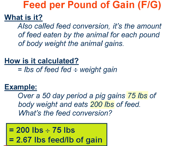 Feed per Pound of Gain