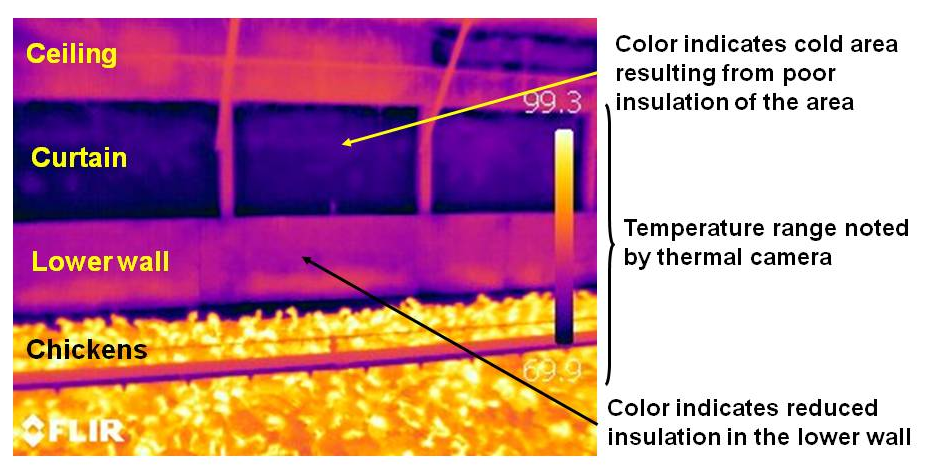 Figure 1.15 - Thermal image of an uninsulated sidewall curtain