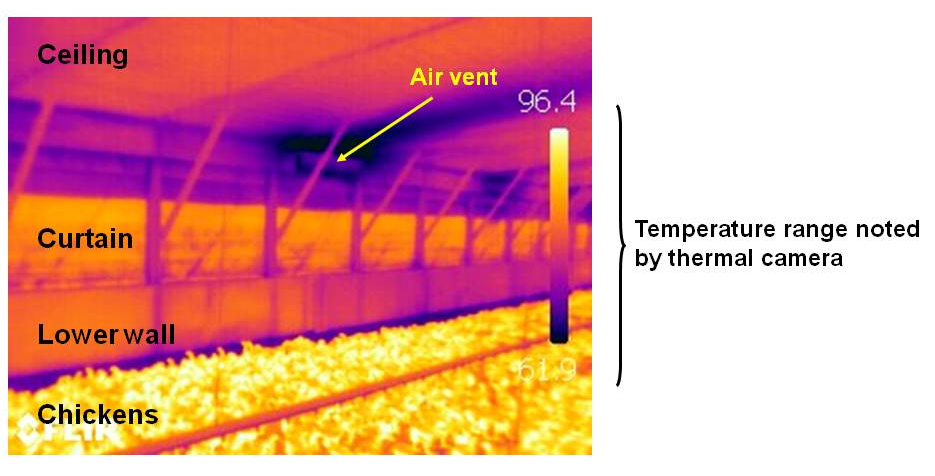 Figure 1.16 - Thermal image of a sidewall curtain insulated with bubble wrap