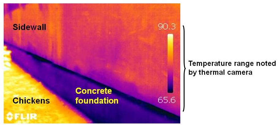 Figure 1.18 - Thermal image of a solid sidewall above a concrete foundation.