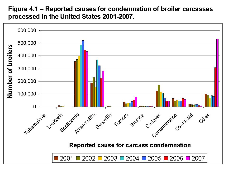 Figure 4.1 - Reported causes for condemnation of broiler carcasses processed in the United States 2001-2007