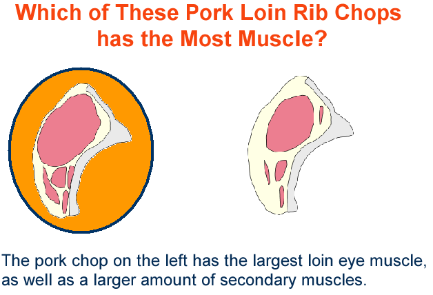 Left Pork chop has largest loin eye muscle larger amount secondary muscles