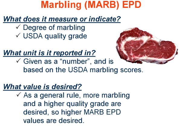 Marbling EPD
