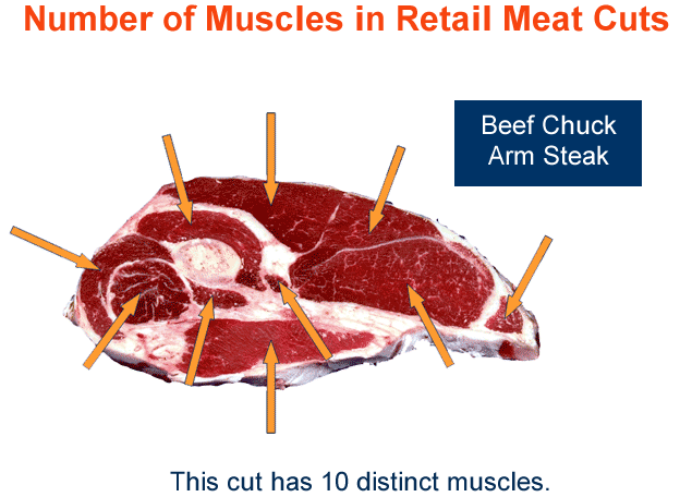 Number of muscles in retail meat cuts beef chuck arm steak