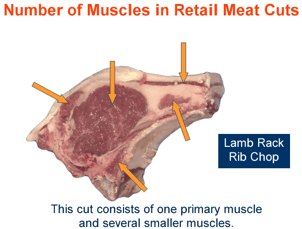 Number of muscles in retail meat cuts lamb rack rib chop