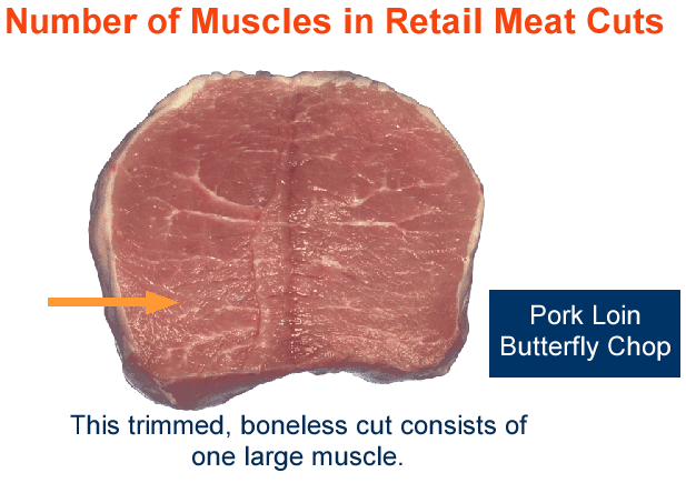 Number of muscles in retail meat cuts