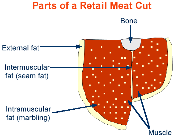 Parts of a retail meat cut diagram