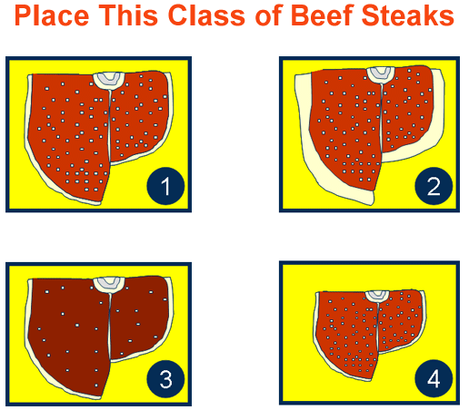 Place This Class of Steaks