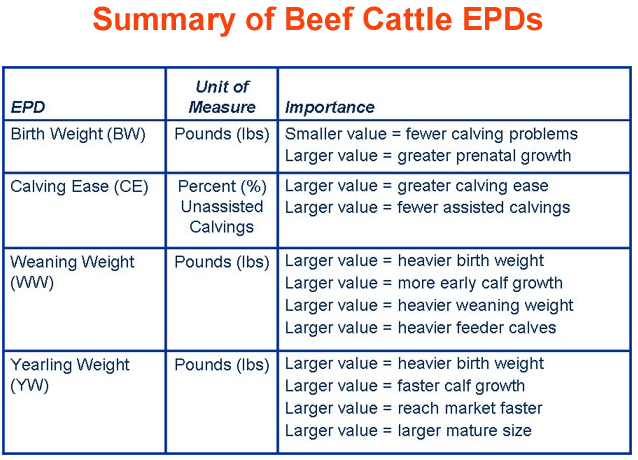 Summary of Beef Cattle EPDs