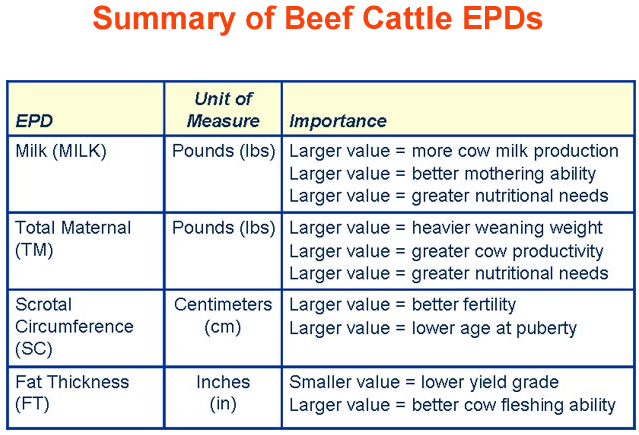 Summary of Beef Cattle EPDs 2