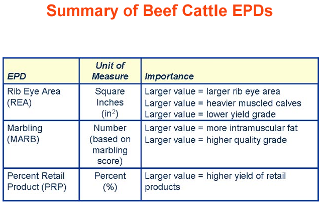 Summary of Beef Cattle EPDs 3
